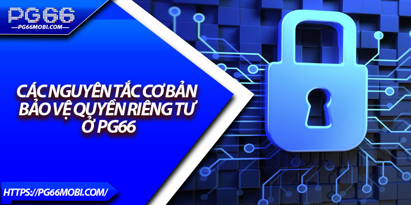 Quyền Riêng Tư - Đặt An Toàn Người Dùng Lên Hàng Đầu 2 Các nguyên tắc cơ bản bảo vệ Quyền riêng tư ở PG66