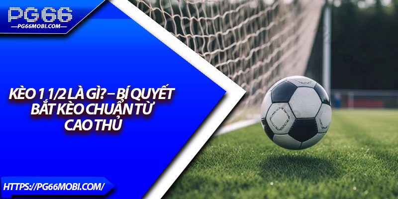 Kèo 1 1/2 Là Gì? – Bí Quyết Bắt Kèo Chuẩn Từ Cao Thủ 1 Kèo 1 1/2 Là Gì? – Bí Quyết Bắt Kèo Chuẩn Từ Cao Thủ